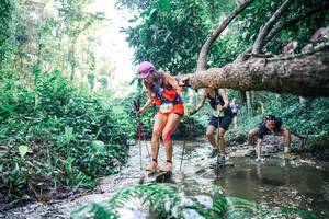 BIB: 
                            <button type="button" onclick="openModal(25434542)" class="btn btn-primary btn-sm float-right btn-popup" data-toggle="modal" data-target=".modal-high-quality">
                        <i class="fas fa-shopping-cart"></i> Add to Cart
                    </button>
                                            <button type="button" onclick="isThisMe(25434542, true)" class="btn btn-success btn-sm float-right btn-popup btn-isme hidden" data-toggle="tooltip" data-placement="bottom" title="นี่คือรูปของคุณใช่ไหม คลิกที่นี่เพื่อเอาเข้าอัลบั้ม">
                        <i class="fas fa-plus"></i> Add to album
                    </button>
                    <button type="button" onclick="isThisMe(25434542, false)" class="btn btn-warning btn-sm float-right btn-popup btn-isnotme hidden">
                        <i class="fas fa-ban"></i> Remove from album
                    </button>